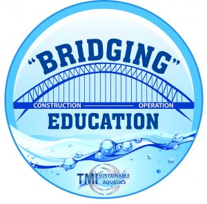 TMI-Bridging-Logo_Final